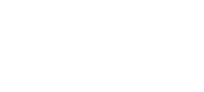 Carolina in our lifetime logo